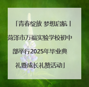 青春绽放 梦想启航丨菏泽市万福实验学校初中部举行2025年毕业典礼暨成长礼赞活动