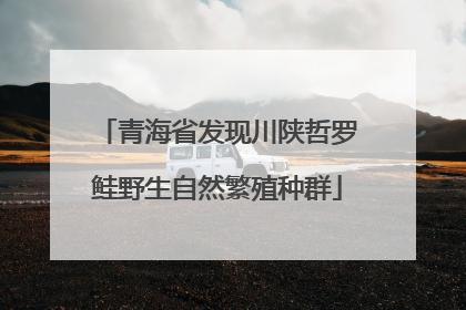 青海省发现川陕哲罗鲑野生自然繁殖种群