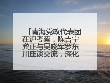 青海党政代表团在沪考察，陈吉宁龚正与吴晓军罗东川座谈交流，深化合作对接