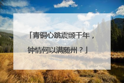 青铜心跳震颤千年，钟情何以满随州？