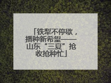 铁犁不停歇，播种新希望——山东“三夏”抢收抢种忙