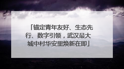 锚定青年友好、生态先行、数字引领，武汉最大城中村华安里焕新在即
