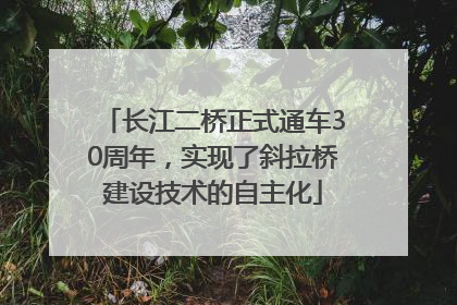 长江二桥正式通车30周年，实现了斜拉桥建设技术的自主化
