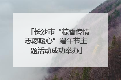 长沙市“粽香传情志愿暖心”端午节主题活动成功举办