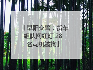 阜阳交警：货车组队闯红灯 28名司机被拘
