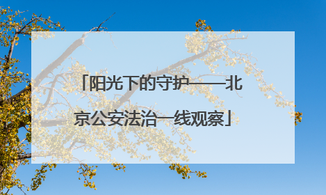 阳光下的守护——北京公安法治一线观察