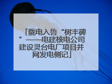 陇电入鲁“树丰碑”——电建核电公司建设灵台电厂项目并网发电侧记