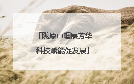 陇原巾帼展芳华 科技赋能促发展
