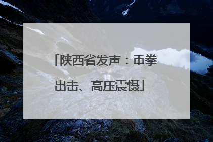陕西省发声：重拳出击、高压震慑