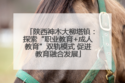 陕西神木大柳塔镇：探索“职业教育+成人教育”双轨模式 促进教育融合发展