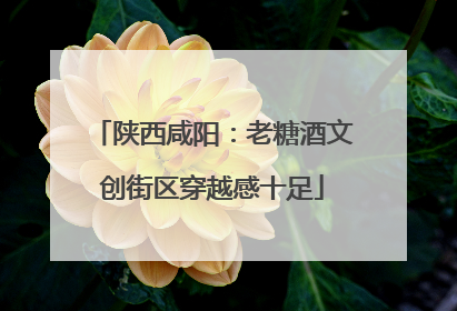 陕西咸阳：老糖酒文创街区穿越感十足
