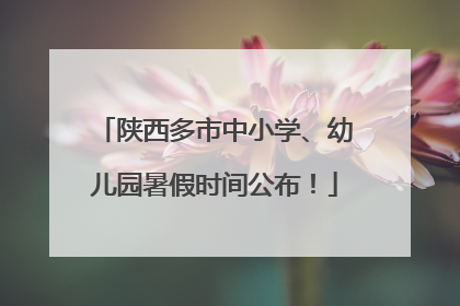 陕西多市中小学、幼儿园暑假时间公布！