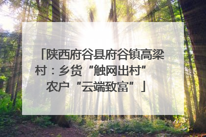陕西府谷县府谷镇高梁村：乡货“触网出村” 农户“云端致富”