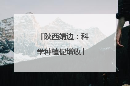 陕西靖边：科学种植促增收