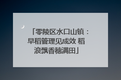零陵区水口山镇：早稻管理见成效 稻浪飘香穗满田