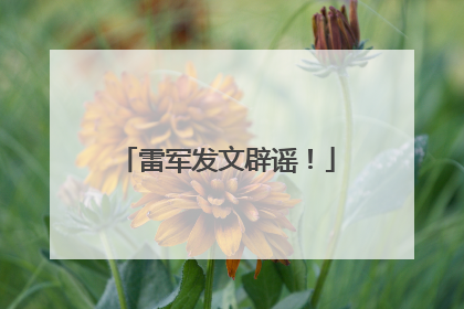 雷军发文辟谣！