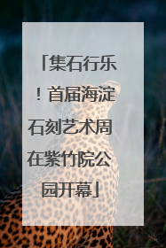 集石行乐！首届海淀石刻艺术周在紫竹院公园开幕