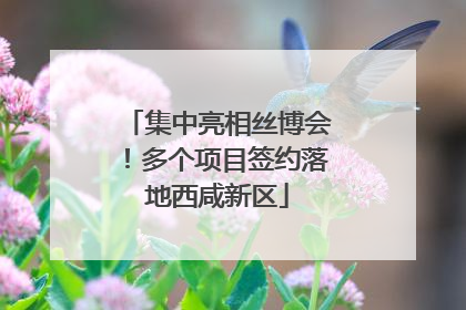 集中亮相丝博会！多个项目签约落地西咸新区