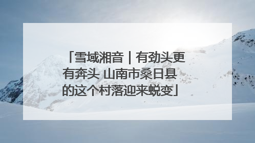 雪域湘音｜有劲头更有奔头 山南市桑日县的这个村落迎来蜕变