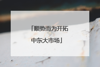 顺势而为开拓中东大市场