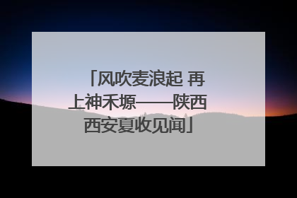 风吹麦浪起 再上神禾塬——陕西西安夏收见闻