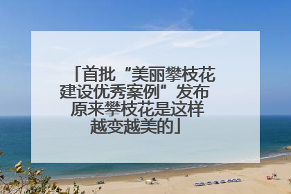 首批“美丽攀枝花建设优秀案例”发布 原来攀枝花是这样越变越美的