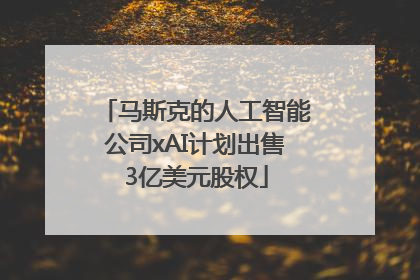 马斯克的人工智能公司xAI计划出售3亿美元股权