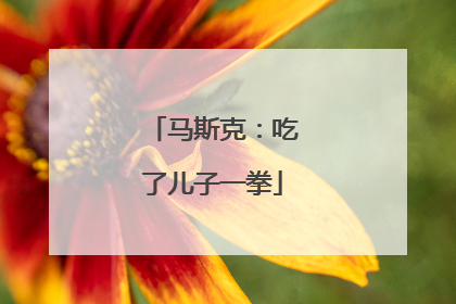 马斯克：吃了儿子一拳