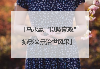 马永嬴“以陵窥政” 掠影文景治世风采