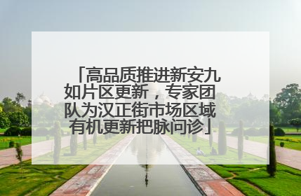 高品质推进新安九如片区更新，专家团队为汉正街市场区域有机更新把脉问诊