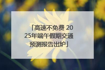 高速不免费 2025年端午假期交通预测报告出炉