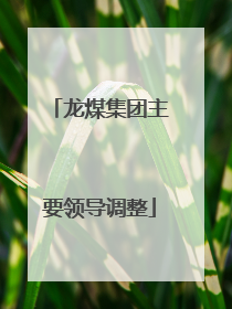龙煤集团主要领导调整