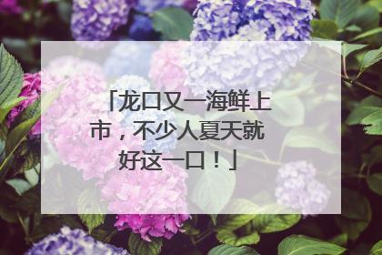龙口又一海鲜上市，不少人夏天就好这一口！