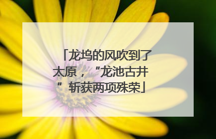 龙坞的风吹到了太原，“龙池古井”斩获两项殊荣