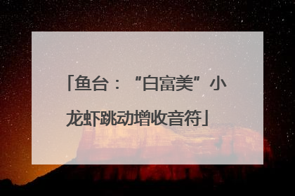 鱼台：“白富美”小龙虾跳动增收音符