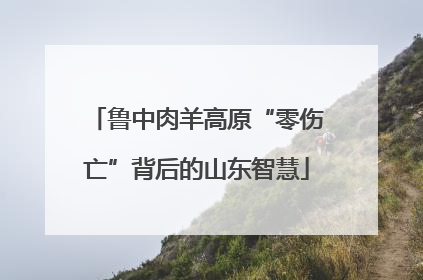鲁中肉羊高原“零伤亡”背后的山东智慧