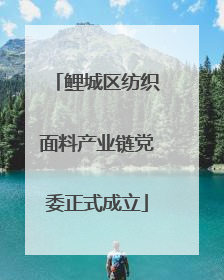 鲤城区纺织面料产业链党委正式成立