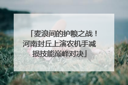 麦浪间的护粮之战！河南封丘上演农机手减损技能巅峰对决