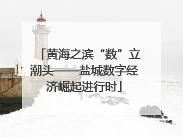 黄海之滨“数”立潮头——盐城数字经济崛起进行时