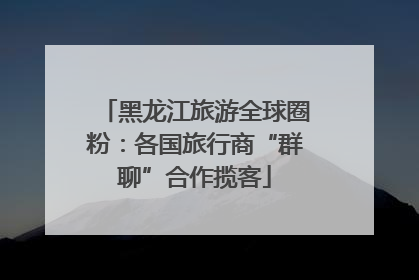 黑龙江旅游全球圈粉：各国旅行商“群聊”合作揽客