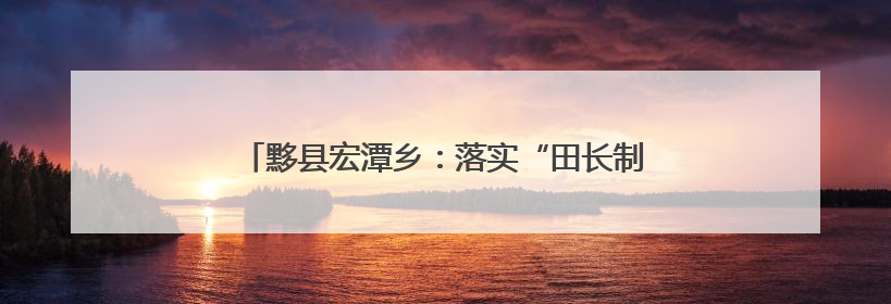 黟县宏潭乡：落实“田长制” 守好良田保“粮仓”