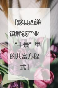 黟县西递镇解锁产业“丰景”里的共富方程式