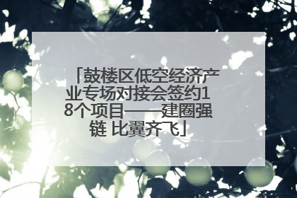鼓楼区低空经济产业专场对接会签约18个项目——建圈强链 比翼齐飞