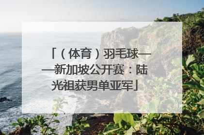（体育）羽毛球——新加坡公开赛：陆光祖获男单亚军
