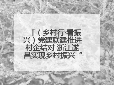 （乡村行·看振兴）党建联建推进村企结对 浙江遂昌实现乡村振兴“加速度”