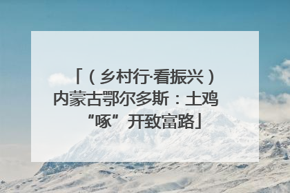 （乡村行·看振兴）内蒙古鄂尔多斯：土鸡“啄”开致富路
