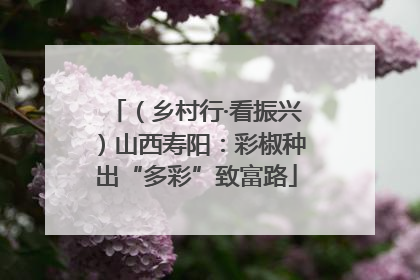 （乡村行·看振兴）山西寿阳：彩椒种出“多彩”致富路