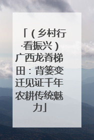 （乡村行·看振兴）广西龙脊梯田：背篓变迁见证千年农耕传统魅力