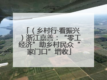 （乡村行·看振兴）浙江嘉善：“零工经济”助乡村民众“家门口”增收