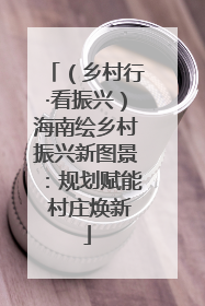 （乡村行·看振兴）海南绘乡村振兴新图景：规划赋能 村庄焕新